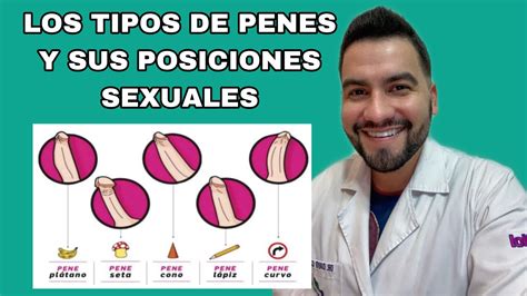 penes grandes y gruesos|Kamasutra: las mejores poses para cada tipo de pene.